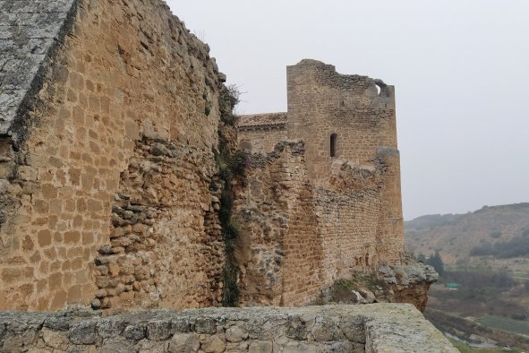 Human Remains From Medieval Castle Reveal Secrets of Warrior Monks