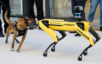 How killer robot dogs could become weapons of mass destruction