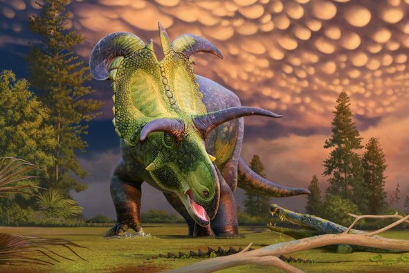 New Dinosaur With Huge Blade-Shaped Horns Discovered in Montana