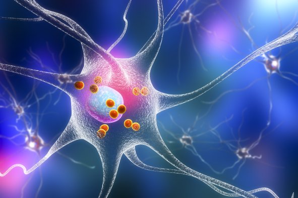 'Exciting' New Parkinson's Treatment May Cure Root Cause