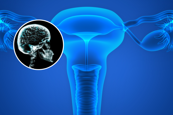 Brain May Shrink After Surgical Menopause, Doctors Warn