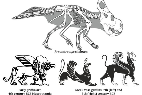 Scientists Debunk 30-Year Myth About Griffins