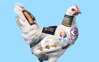 A shopper’s guide to buying better chicken