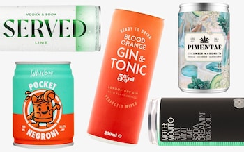 The best canned cocktails for summer – tried and tested