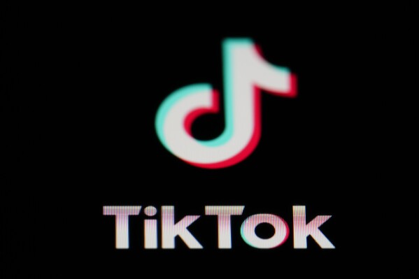 Free speech and digital rights groups argue TikTok law would infringe on the First Amendment