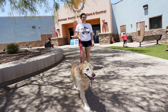 ThunderShirts, dance parties and anxiety meds can help ease dogs’ July Fourth dread