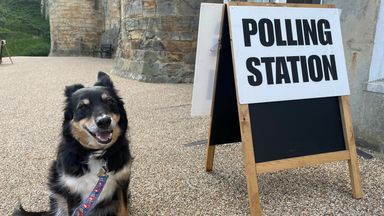 Dogs at polling stations: Your best pictures as general election takes place