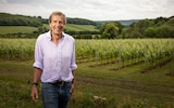 Champagne all round: the French invasion of English vineyards