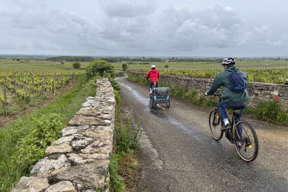 A cyclist finds his special spot in vineyard-rich Burgundy by taking a different path