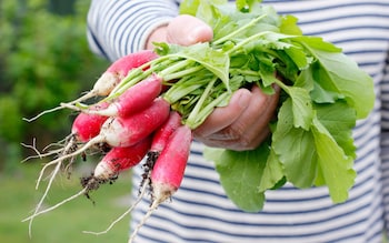 Tom Brown’s top 10 veg to grow in July