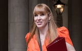 Angela Rayner prepares to overhaul green rules in race to build on countryside