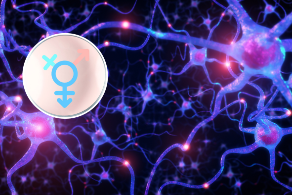 Neuroscientists Reveal Key Brain Differences Between Sex and Gender