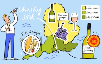 The 10 things you need to know about English wine