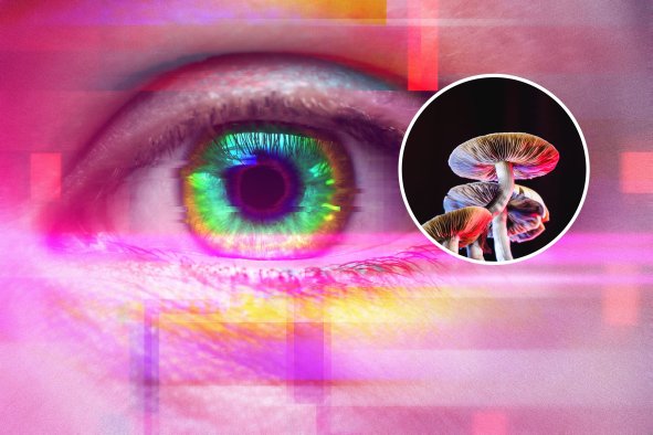 Neuroscientists Reveal How Magic Mushrooms Work on the Brain