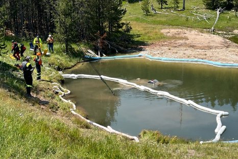 Yellowstone Visitors Hospitalized After Driving Into Acidic Geyser