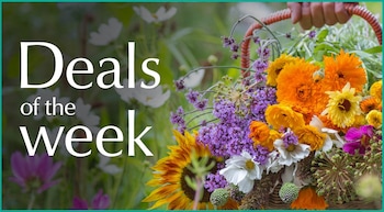 Gardening offers and deals from Telegraph Garden Shop