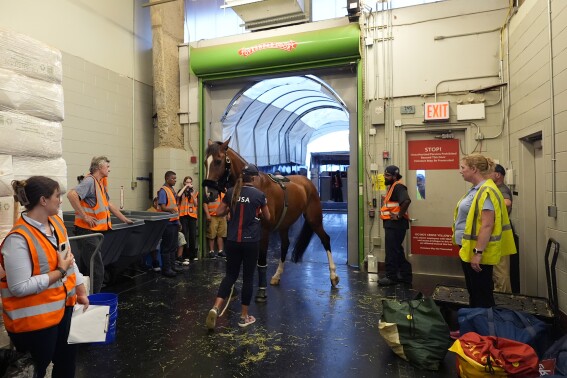 Horses take to the air with passports and carryons ahead of equestrian eventing at Paris Olympics