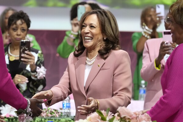 ‘We were built for this moment': Black women rally around Kamala Harris