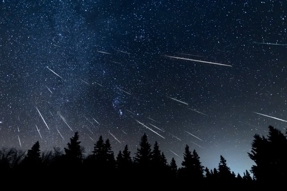 Alpha Capricornids Meteor Shower To Light Up the Sky Next WeekâHow To Watch