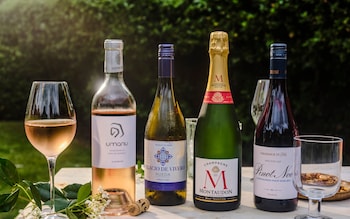 The best wines for a summer party – including bag-in-box bargains