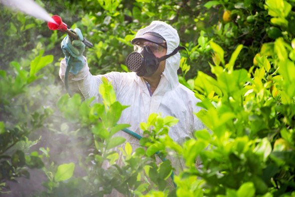 Cancer Risk From Pesticides 'Comparable' to Smoking, Scientist Says