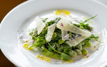 Broad bean salad with pecorino recipe