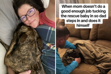 Moment Woman Realizes Rescue Dog Has 'Stolen' Her Husband's Heart