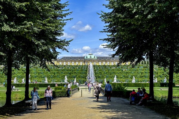 Historic UNESCO world heritage park in Germany grapples with dying trees as climate change kicks in