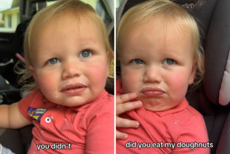 Toddler Insists He Didn't Eat Mom's Doughnut, Evidence Says Otherwise