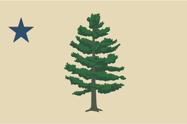 Flag contest: Mainers to vote on adopting a pine tree design paying homage to state’s 1st flag