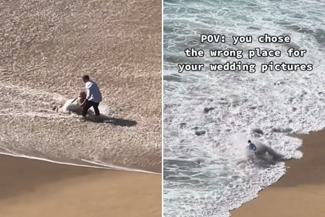 Couple Taking Wedding Pics Quickly Discover Beach Photoshoot Was a Bad Idea