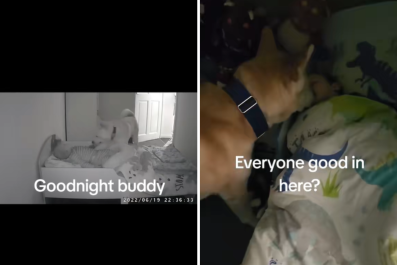 Baby Monitor Captures "Guardian Angel" Dog Checking on Sleeping Babies