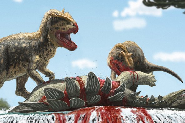 New Carnivorous Dinosaur Species with Impressive 'Eyebrow' Revealed