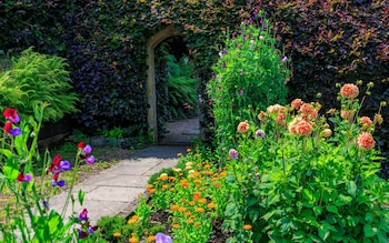 How to grow a gorgeous garden (without spending any money)