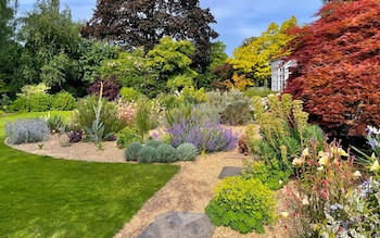 The low-effort garden that thrives in any weather