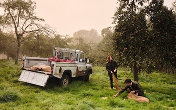 The £24-a-bottle British cider that rivals champagne