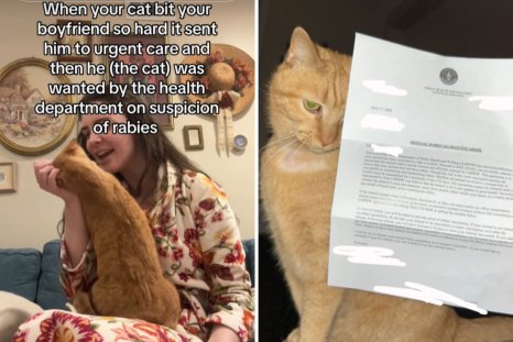 Cat Bites Owner's Boyfriend, Sent 'Wanted' Letter From Health Department