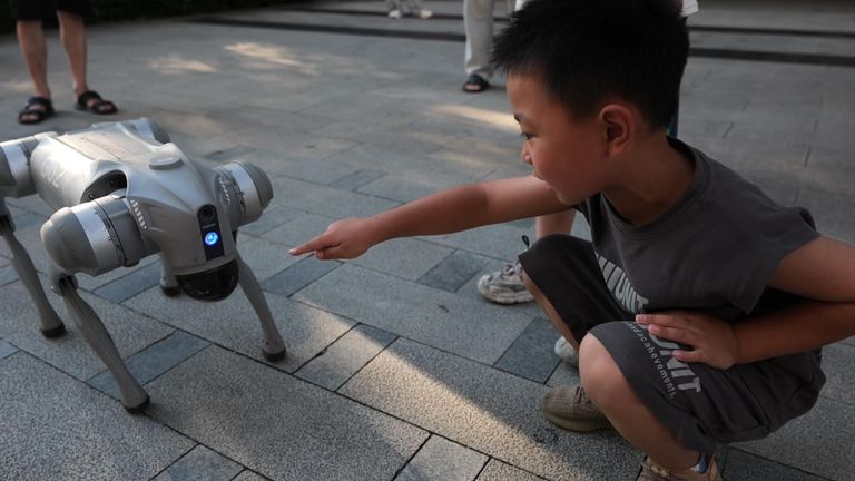 China's robotic dogs still a novelty to most - as firms grapple with military using tech as weapons