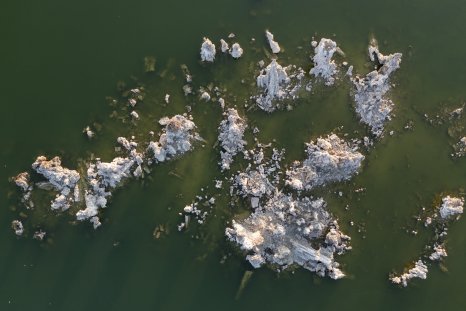 California Lake Hides Dust-Sized Creatures Bearing 'Huge Surprise'