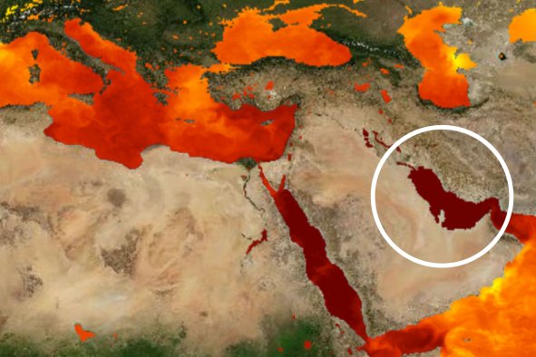 Sea Surface Temperatures Hit 97.7 F: 'One of the Highest' Ever Recorded