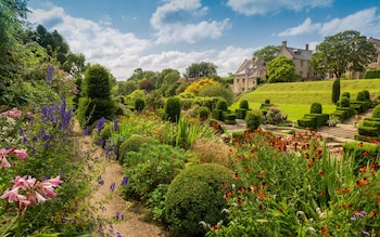 ‘It made me wonder what I’d been doing with my life’: The secrets of Dorset’s finest private gardens