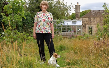 Pam Ayres: ‘I spent my life savings on creating a 22-acre wildlife reserve’