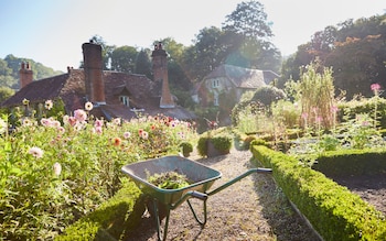 How to spruce up your garden this September