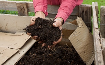 Why you might be getting composting all wrong