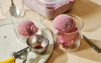 Black grape and red wine sorbet