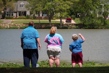 Overweight Children at Greater Risk of Adult Schizophrenia, Study Says