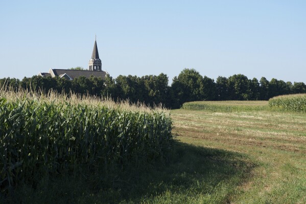 Lutherans in Walz’s Minnesota put potlucks before politics during divisive election season