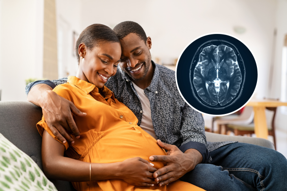 Baby Brain: How Pregnancy Changes Your Gray and White Matter Revealed