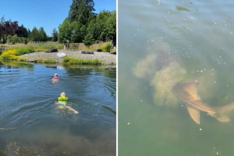 Mom Lets Kids Swim in Pond All SummerâThen Sees What's Lurking in the Water