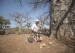 An ancient African tree is providing a new ‘superfood’ yet local harvesters are barely surviving